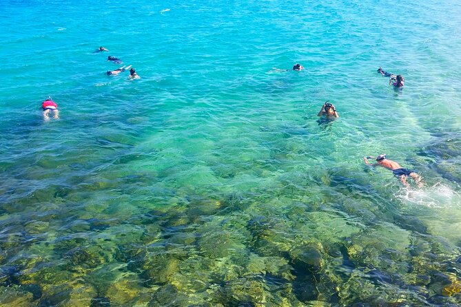 Gold Coast Kayaking & Snorkelling Tour (2.5 Hours) - Quick points before you book