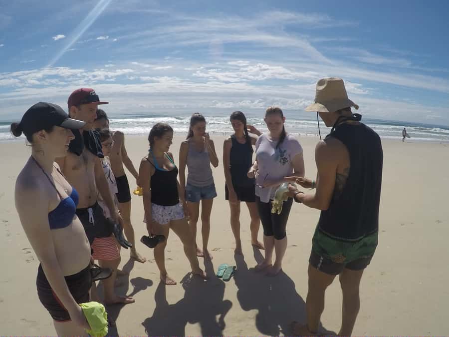 Gold Coast: Kayaking & Snorkelling Tour with Fish Feeding - Practical preparation for a relaxed morning