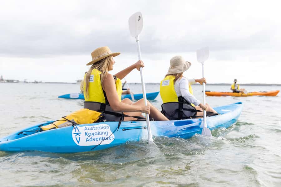 Gold Coast: Kayaking & Snorkelling Tour with Fish Feeding - Why the man-made island is the tour’s main event