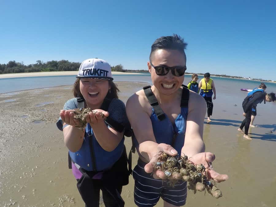 Gold Coast: Kayaking & Snorkelling Tour with Fish Feeding - Who will enjoy this Gold Coast outing