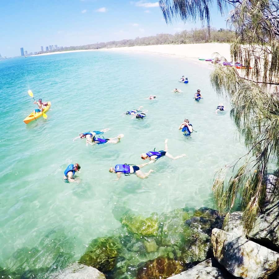 Gold Coast: Kayaking & Snorkelling Tour with Fish Feeding - Starting near Biggera Waters