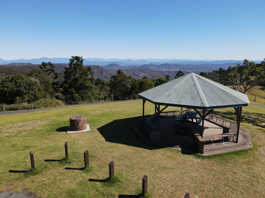 Gold Coast: Lamington Treetops, Wildlife and Vineyard Visit - What $91 buys you