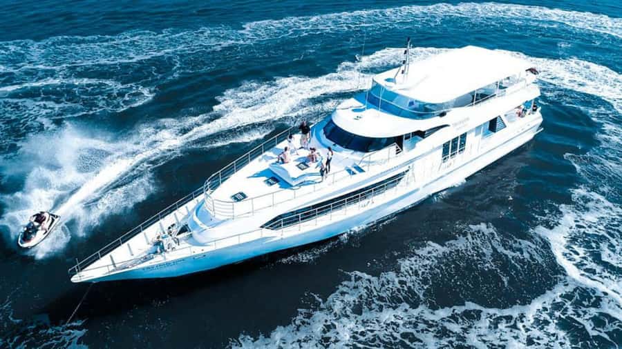 Gold Coast: Luxury Whale Watching Tour - What the Sun Goddess adds