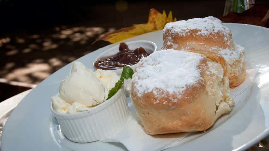 Gold Coast: Mount Tamborine Kangaroo and Koala Day Tour - Curtis Falls and the rainforest path
