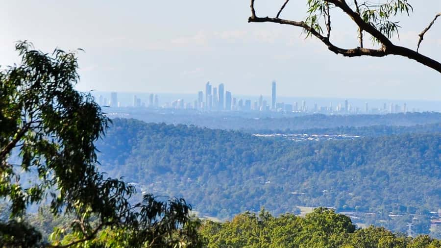 Gold Coast: Mount Tamborine Kangaroo and Koala Day Tour - Transport, pickup, and the practical details
