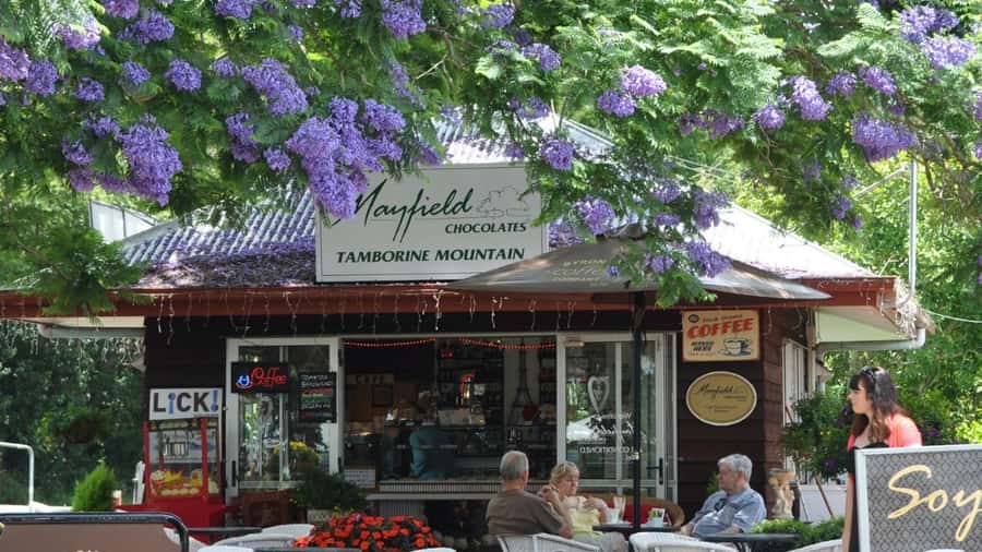 Gold Coast: Mount Tamborine Kangaroo and Koala Day Tour - Who should book this tour
