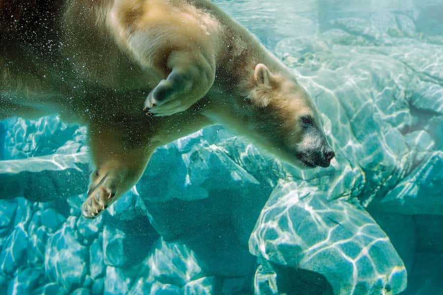 Gold Coast: Movie World, Sea World, Wet'n'Wild 14-Day Pass - Access, location, and practical planning