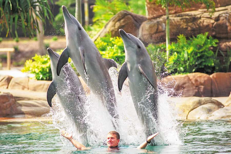 Gold Coast: Movie World, Sea World, Wet'n'Wild 14-Day Pass - Warner Bros. Movie World: comic-book thrills and family rides