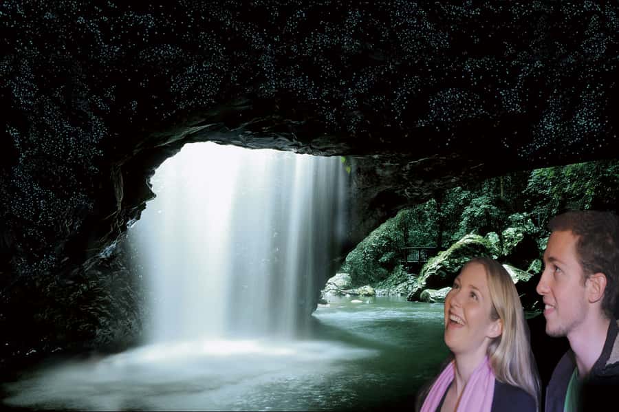 Gold Coast: Natural Bridge Glow Worm Night Tour - The ride from Surfers Paradise to Springbrook