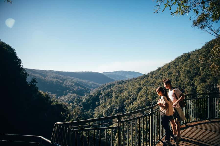 Gold Coast: Natural Bridge & Springbrook Waterfalls Tour - Why Springbrook Makes a Fine Break from the Beach