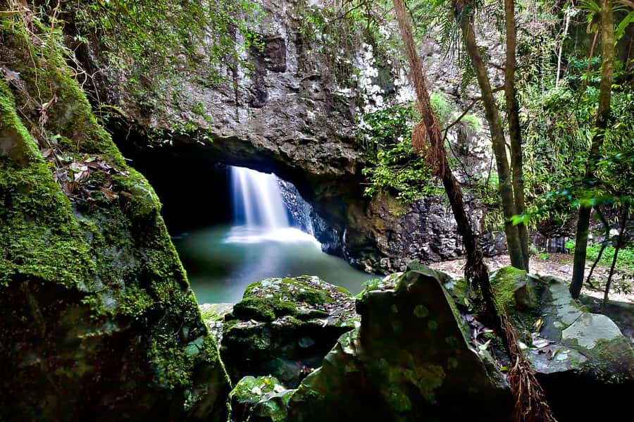 Gold Coast: Natural Bridge & Springbrook Waterfalls Tour - Should You Book the Springbrook Half-Day Tour?