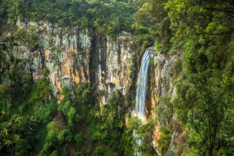 Gold Coast: Natural Bridge & Springbrook Waterfalls Tour - The Drive Through Numinbah Valley
