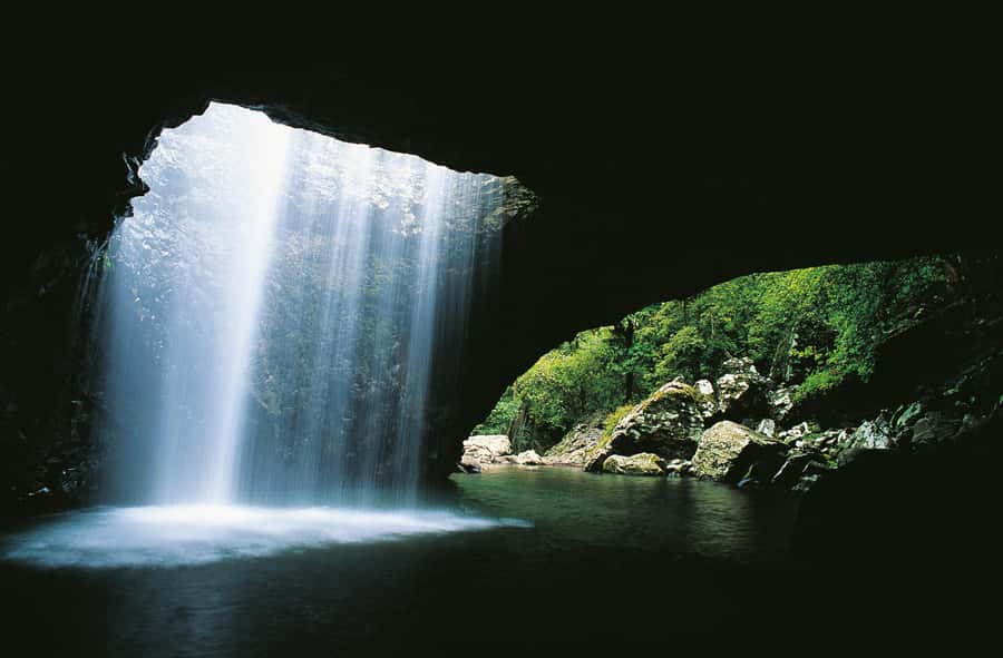 Gold Coast: Natural Bridge & Springbrook Waterfalls Tour - Natural Bridge and the Waterfall Inside the Cave