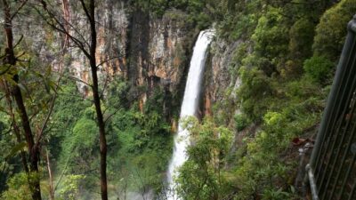 Natural Bridge & Springbrook Waterfalls Tour