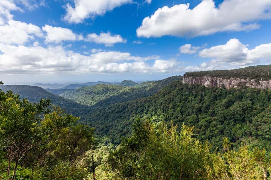 Gold Coast: Natural Bridge & Springbrook Waterfalls Tour - Comfort, Timing and Value at $84