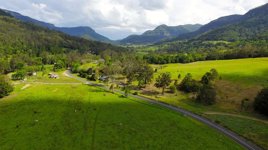 Gold Coast: Natural Bridge & Springbrook Waterfalls Tour - Who Will Enjoy This Tour Most