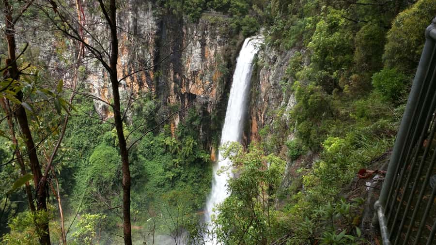 Gold Coast: Natural Bridge & Springbrook Waterfalls Tour - Hinze Dam and the Morning Snack