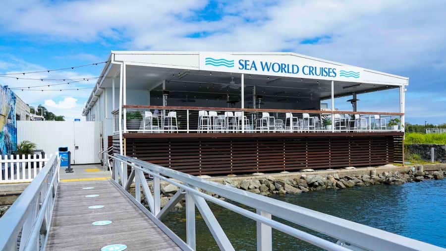 Gold Coast: Premium Whale Watching Cruise - Who should book this cruise?