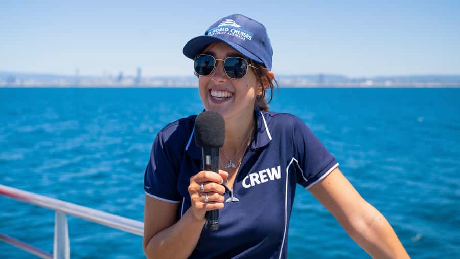 Gold Coast: Premium Whale Watching Cruise - Dolphins, turtles, and seabirds along the way