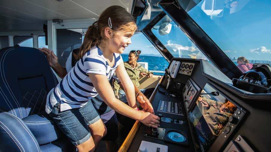 Gold Coast: Premium Whale Watching Cruise - Comfort, weather, and seasickness