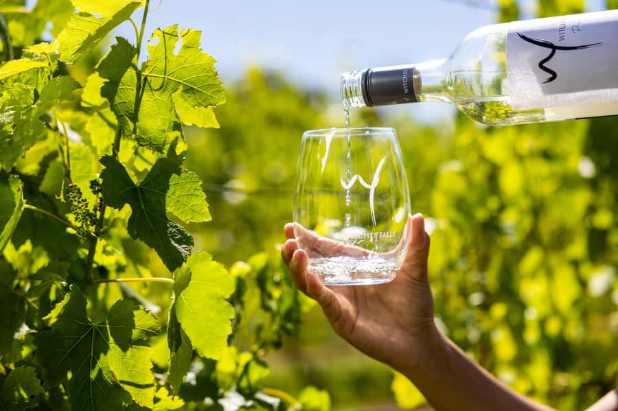 Gold Coast: Premium Wine Tour with Gourmet Lunch - The guides make a real difference