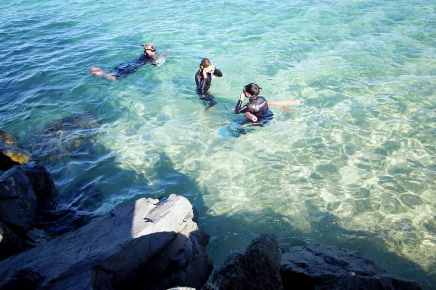 Gold Coast: Snorkelling in Wave Break Island - Why Wave Break Island works for first-time snorkelers