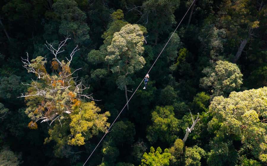 Gold Coast: Tamborine Mountain Canyon Flyer Zipline Tour - Getting to Thunderbird Park