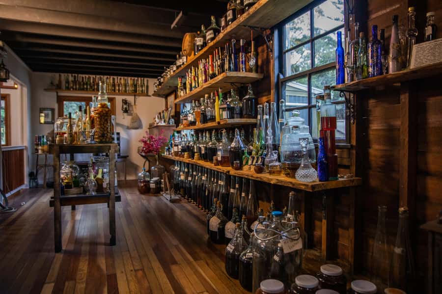 Gold Coast: Tamborine Mountain Local Winery Tour with Lunch - Witches Falls adds cheese as an optional extra