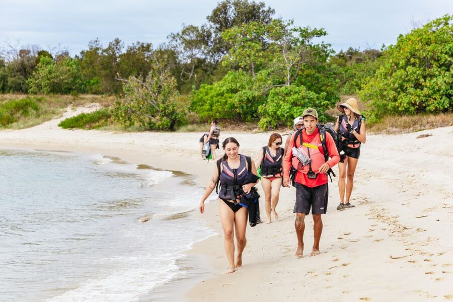 Gold Coast: Wave Break Island Kayaking & Snorkeling tour - Snorkeling over a sheltered rocky reef