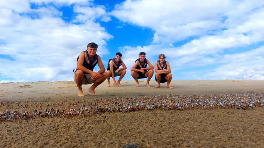 Gold Coast: Wave Break Island Kayaking & Snorkeling tour - Who will enjoy this outing most