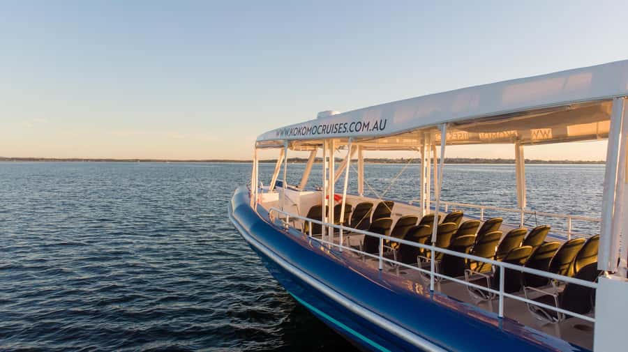 Gold Coast Whale Experience - Is $62 a fair price?