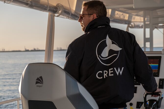 Gold Coast Whale Watching Cruise - Timing, weather, and practical planning