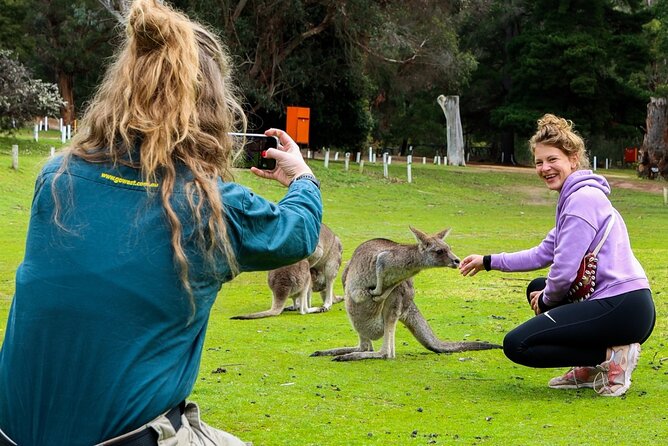 Grampians National Park Small-Group Eco Tour from Melbourne - The Grand Canyon circuit and Wonderland Loop