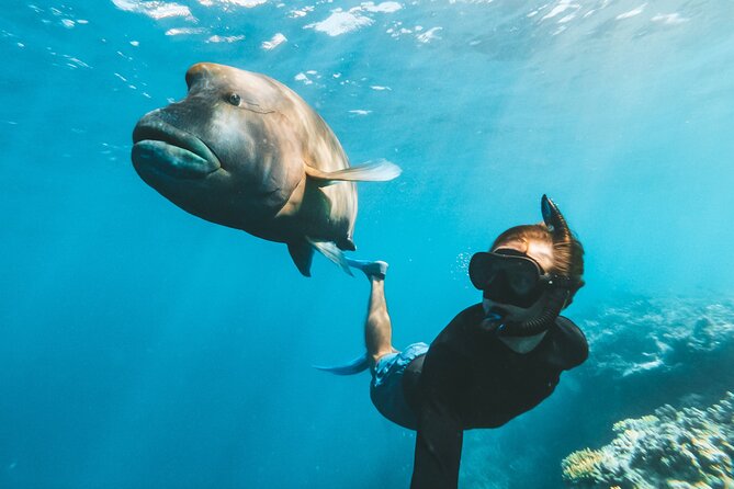 Great Barrier Reef Full Day Adventure - Stop 4: Heart Reef and the optional scenic flight