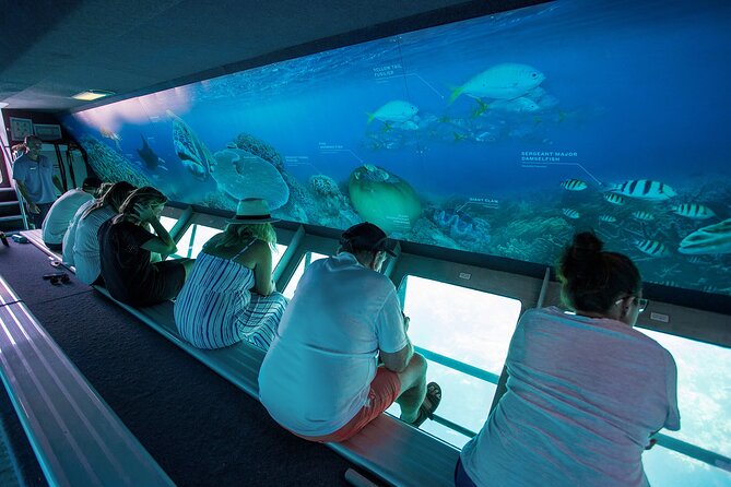 Great Barrier Reef Full Day Adventure - Snorkeling and scuba options