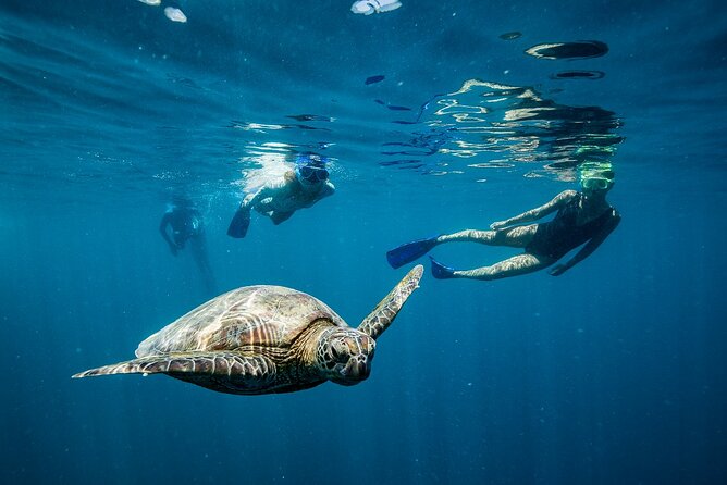 Great Barrier Reef Full Day Adventure - Lunch, seating, and family practicalities