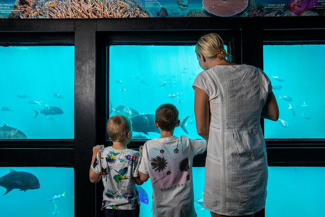 Great Barrier Reef Full Day Adventure - Stop 2: Reefworld and the four-hour pontoon visit