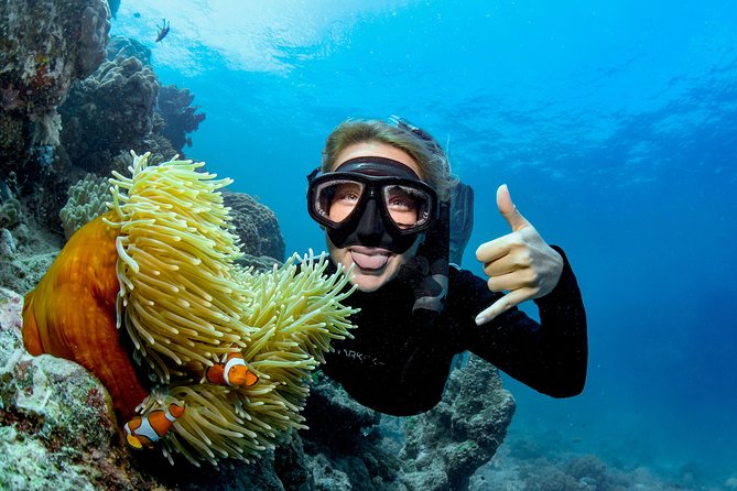 Great Barrier Reef Full Day Tour from Cairns - Scuba choices for beginners and certified participants