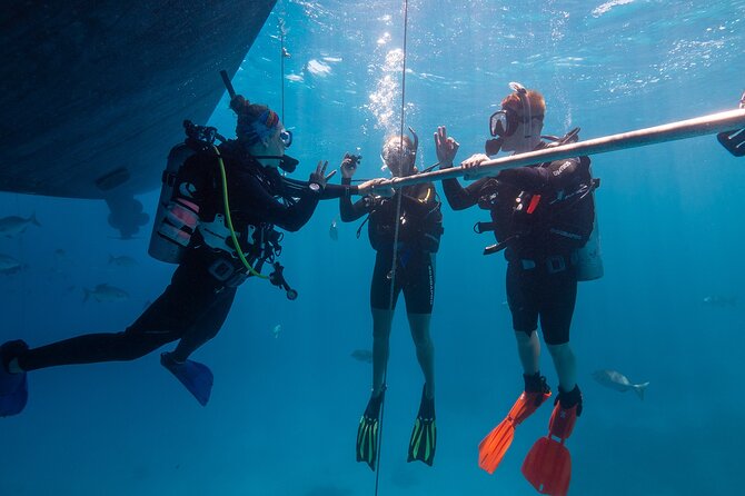 Great Barrier Reef Full Day Tour from Cairns - Lunch, showers, and the practical comforts