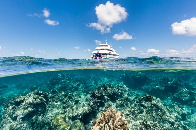 Great Barrier Reef Snorkeling and Diving Cruise from Cairns - Quick take: what makes this Cairns reef trip useful