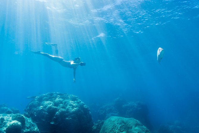 Great Barrier Reef Snorkeling and Diving Cruise from Cairns - Barbecue lunch with one eye on the timetable
