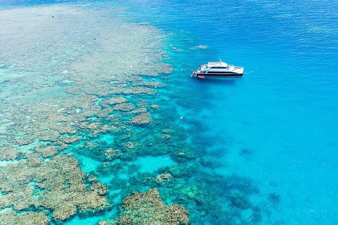 Great Barrier Reef with Cultural Guides-Dreamtime Dive & Snorkel - Why the cultural welcome changes the reef experience