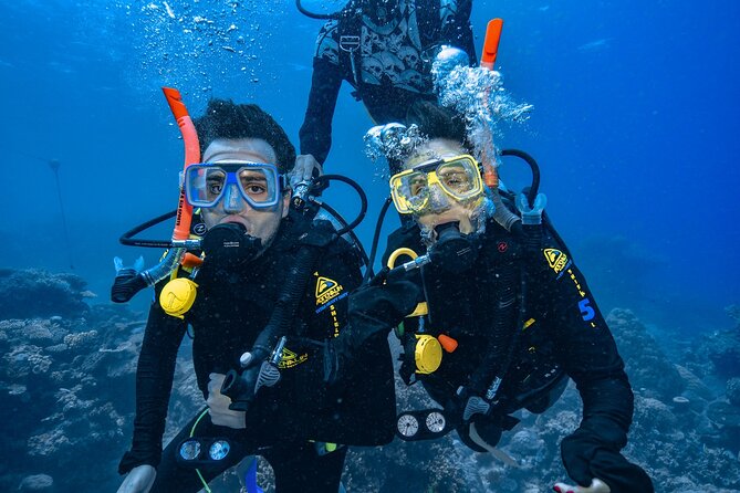 Great Barrier Reef with Cultural Guides-Dreamtime Dive & Snorkel - Who will enjoy this most?
