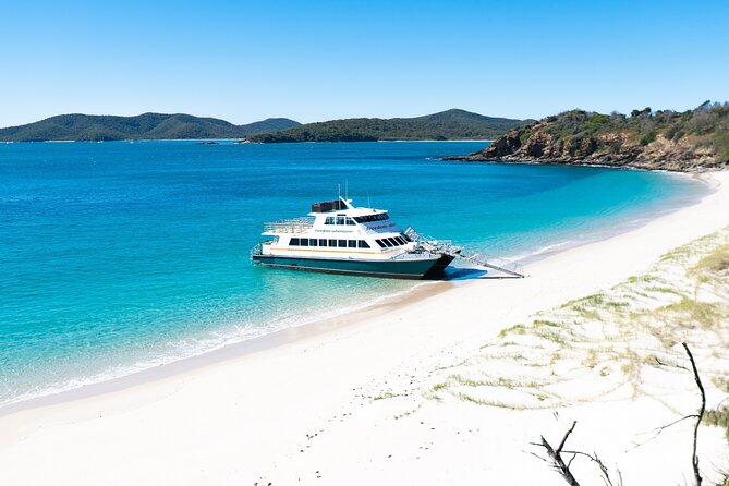 Great Keppel Island Adventure Tour - Snorkel and Boomnet - Glass-bottom viewing with reef commentary