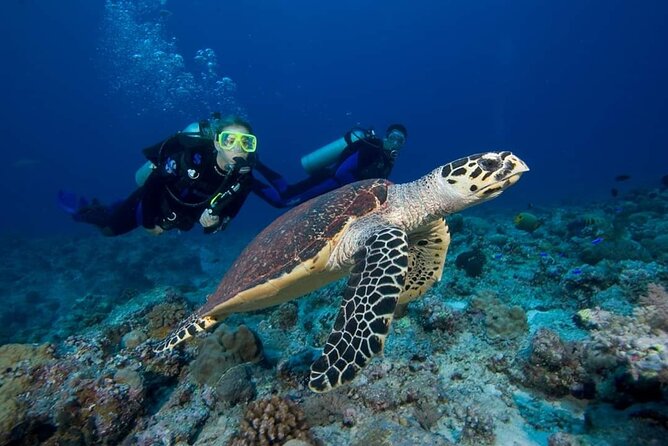 Great Keppel Island Day Trip Bundle from Yeppoon - Making the most of the 4pm departure