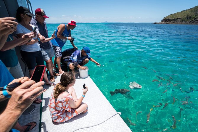 Great Keppel Island Glass Bottom Boat Tour & Ferry Transfer - Five hours to set your own island pace