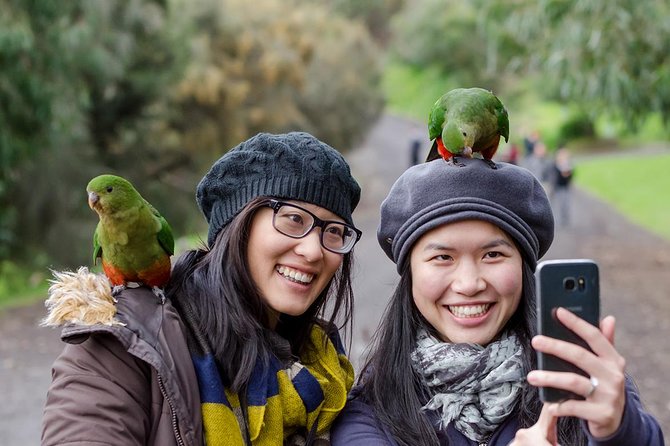 Great Ocean Road, 12 Apostles, Rainforest & Morning Tea-Melbourne - The Memorial Arch and the story behind the road