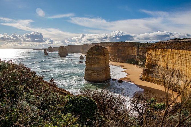 Great Ocean Road, 12 Apostles, Rainforest & Morning Tea-Melbourne - Apollo Bay gives you a proper pause
