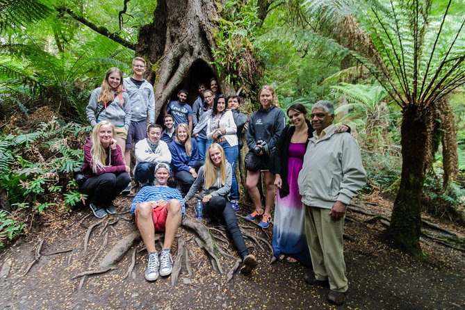Great Ocean Road 12 Apostles & Rainforest Walk with Morning Tea - The return through Colac and country roads