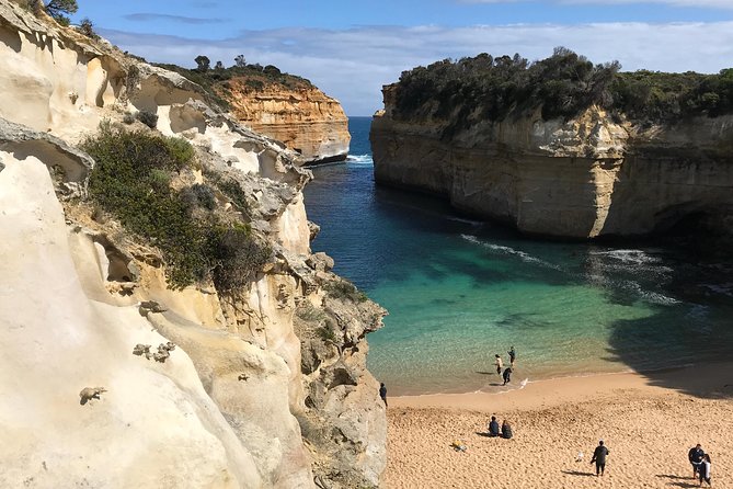 Great Ocean Road Reverse Itinerary Boutique Tour - Max 11 Guests - Key points to know before booking